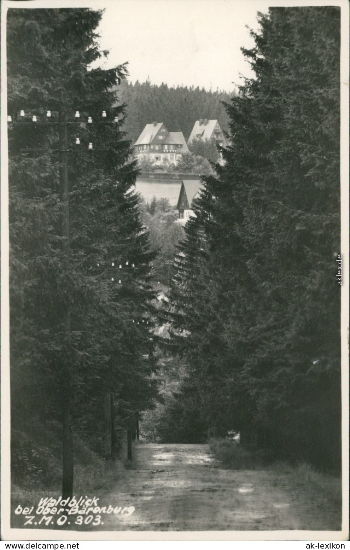 Ansichtskarte Bärenburg-Altenberg (Erzgebirge) Waldblick Zum Ort 1952  - Altenberg