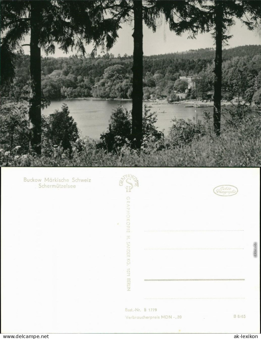 Ansichtskarte Buckow (Märkische Schweiz) Schermützelsee 1965 - Buckow