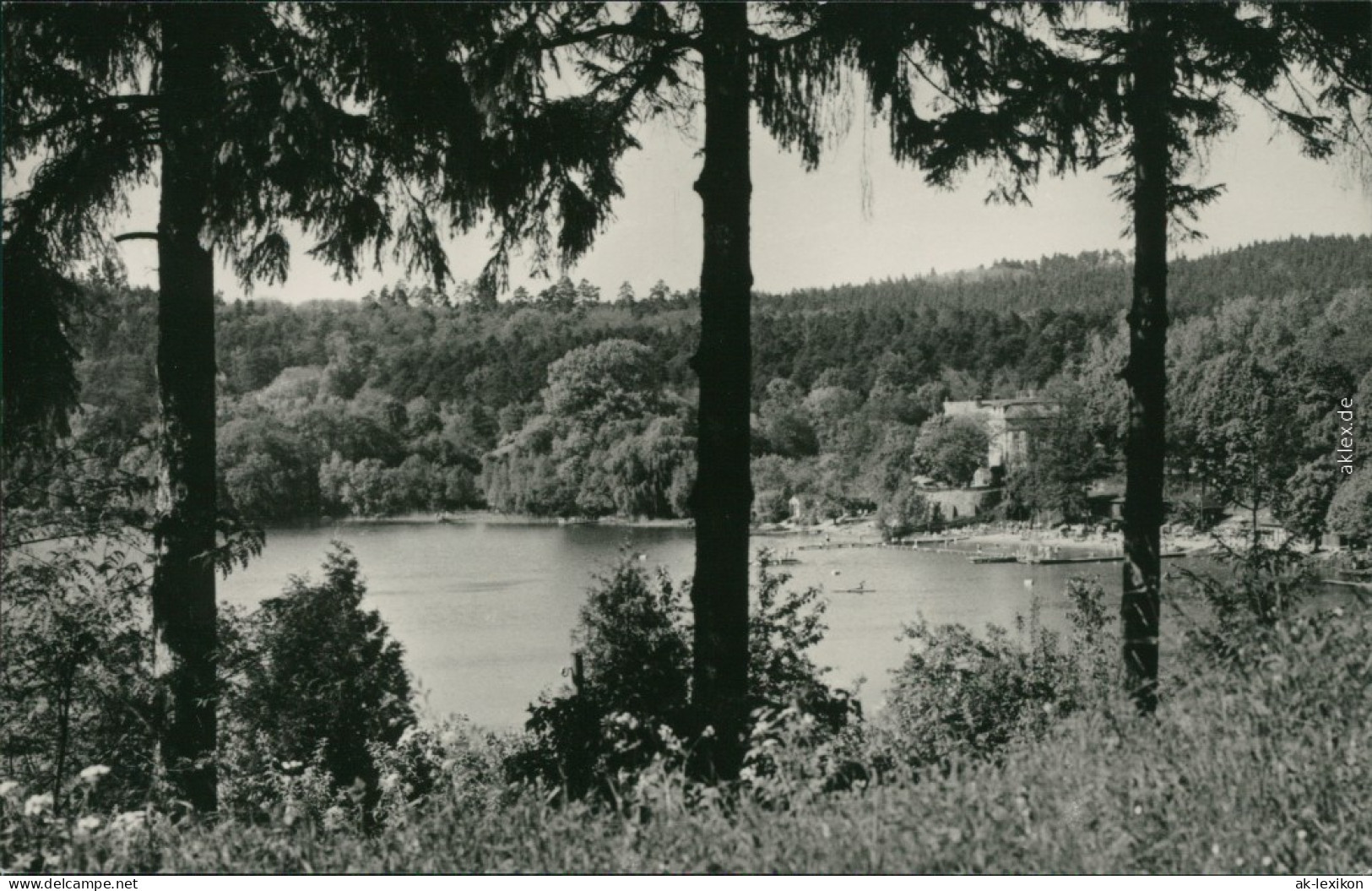 Ansichtskarte Buckow (Märkische Schweiz) Schermützelsee 1965 - Buckow