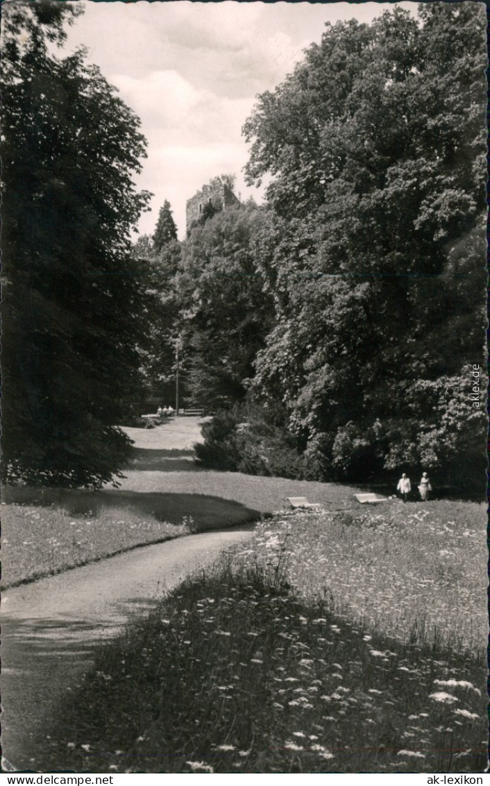 Ansichtskarte Badenweiler Im Kurpark 1960 - Badenweiler