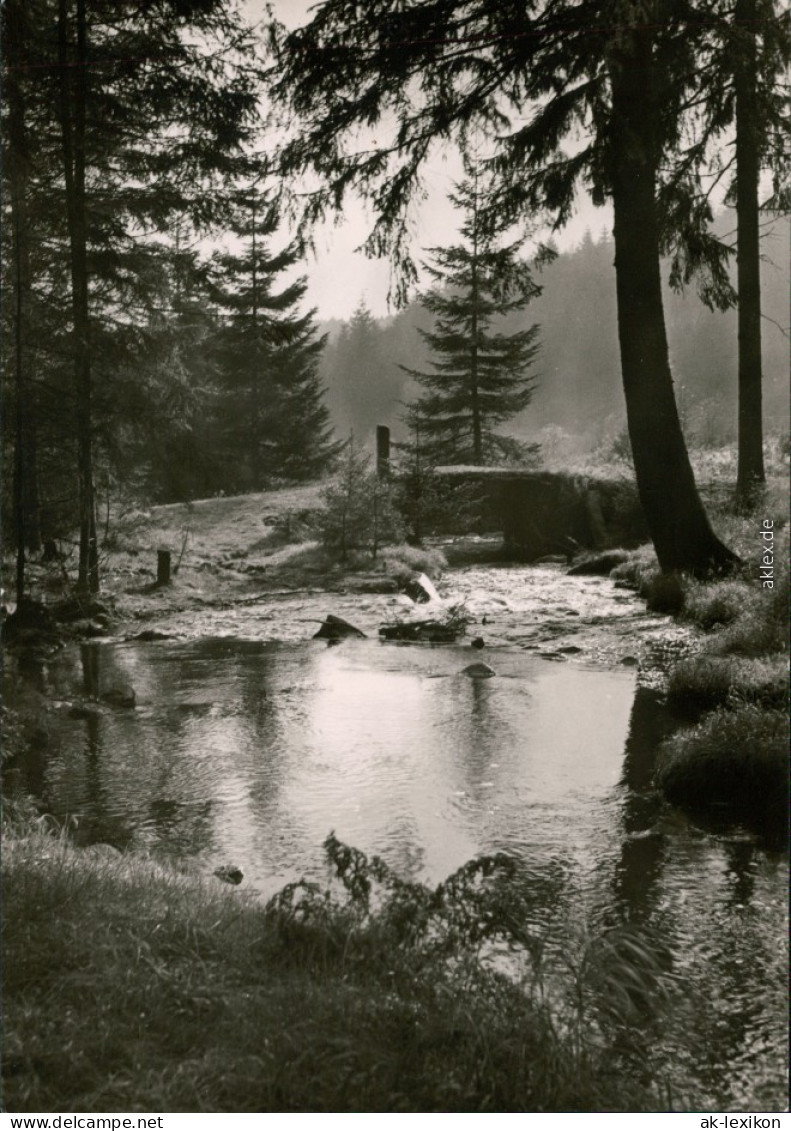 Ansichtskarte Ehrenfriedersdorf Greifensteine - Adlerstollenbrücke 1964 - Ehrenfriedersdorf