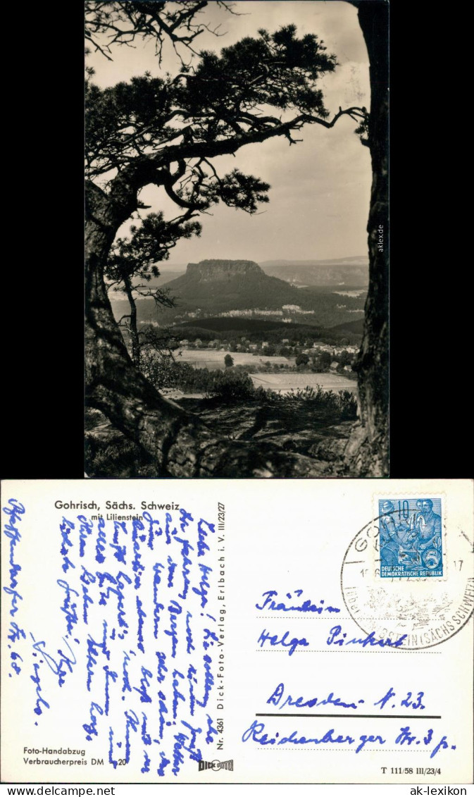 Gohrisch (Sächs. Schweiz) Blick Auf Den Ort Mit Lilienstein 1958 - Gohrisch