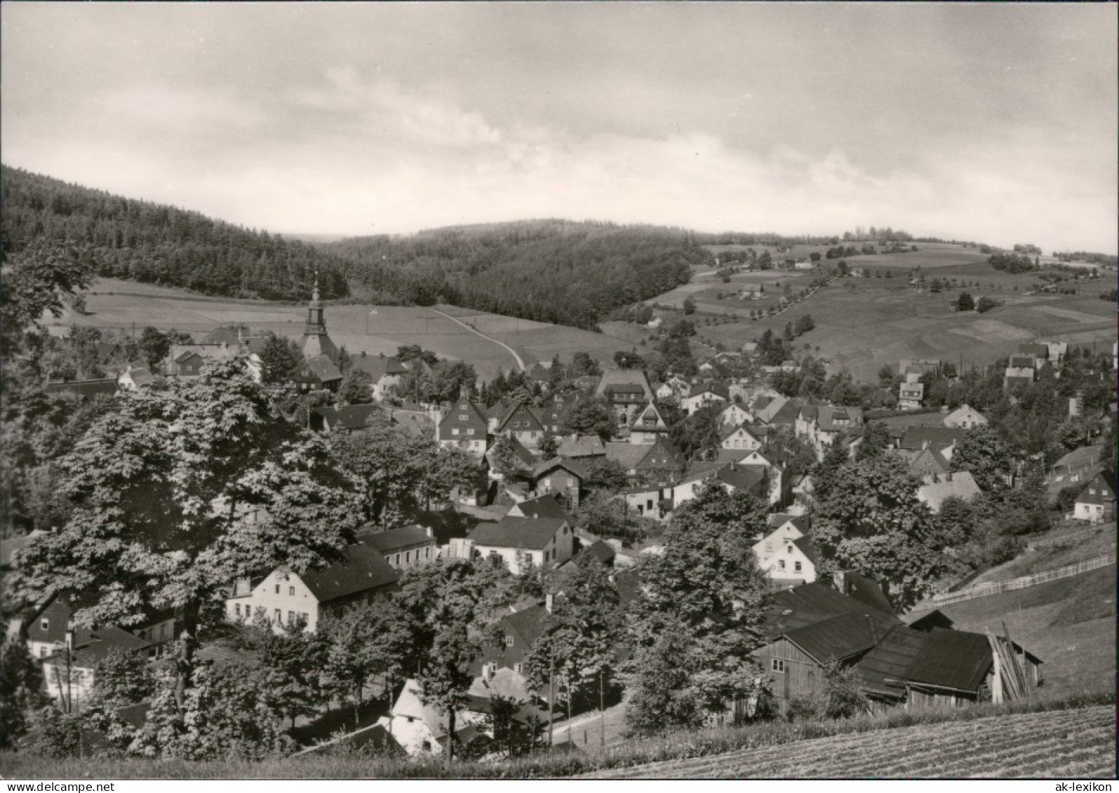 Ansichtskarte Seiffen (Erzgebirge) Blick Auf Den Ort 1972 - Seiffen