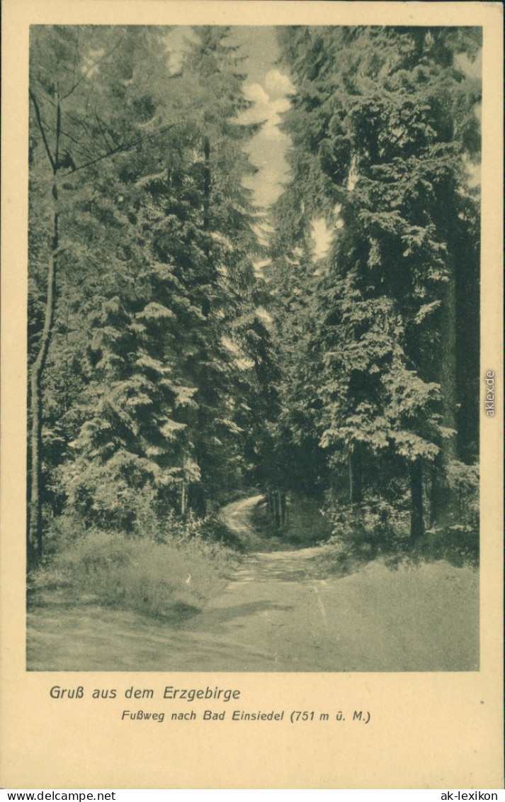 Ansichtskarte Einsiedel-Seiffen (Erzgebirge) Fußweg Nach... Erzgebirge 1926  - Seiffen