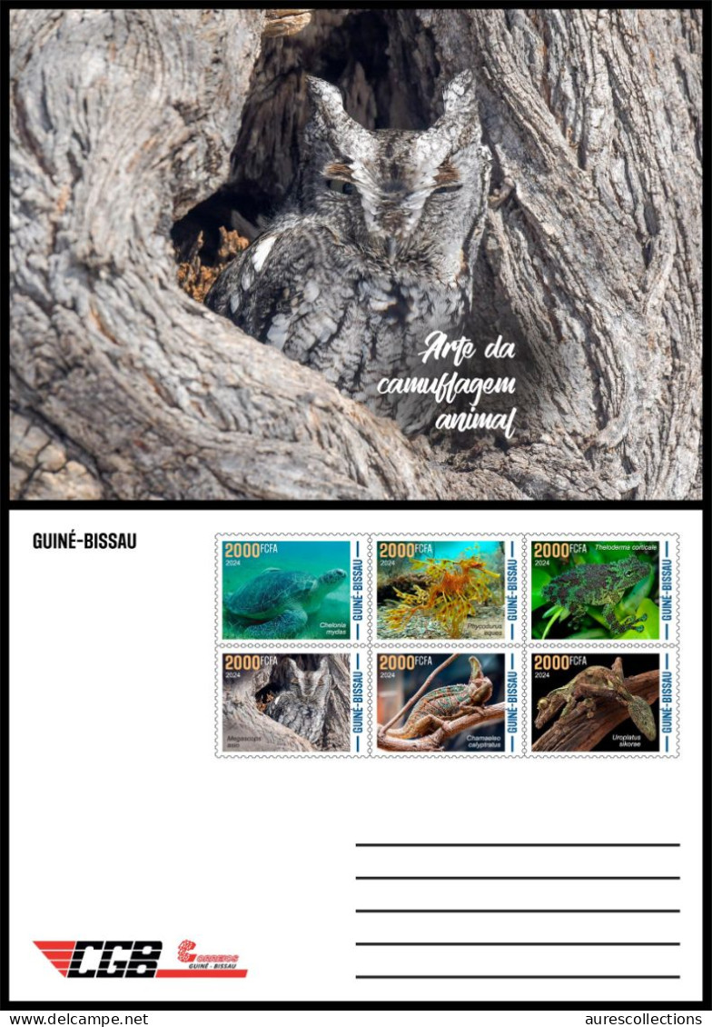 GUINEA BISSAU 2024 STATIONERY CARD 6V - CAMOUFLAGE - FROG FROGS TURTLES TURTLE OWL OWLS GECKO CHAMELEON SEAHORSE - Ranas