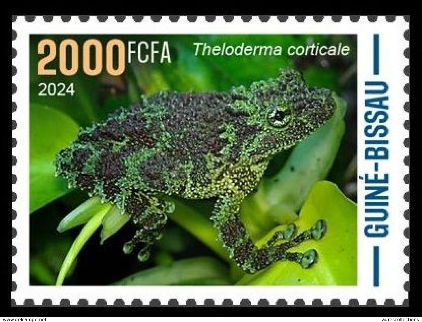 GUINEA BISSAU 2024 STAMP 1V - CAMOUFLAGE - FROG FROGS GRENOUILLE GRENOUILLES - MNH - Ranas