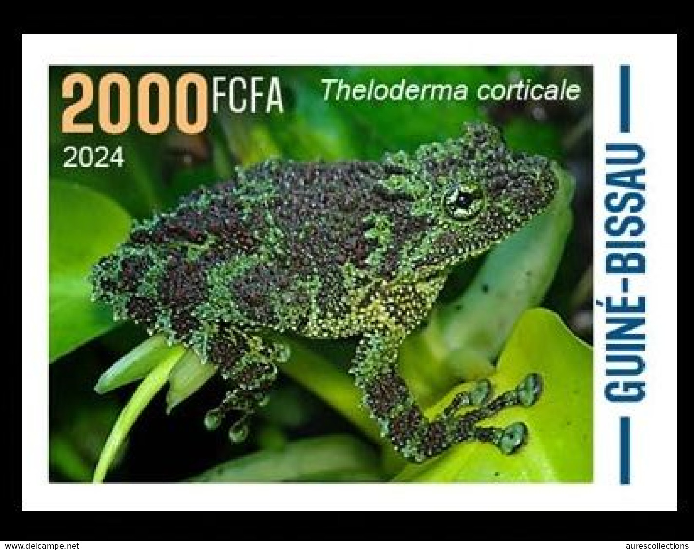 GUINEA BISSAU 2024 IMPERF STAMP 1V - CAMOUFLAGE - FROG FROGS GRENOUILLE GRENOUILLES - MNH - Frösche