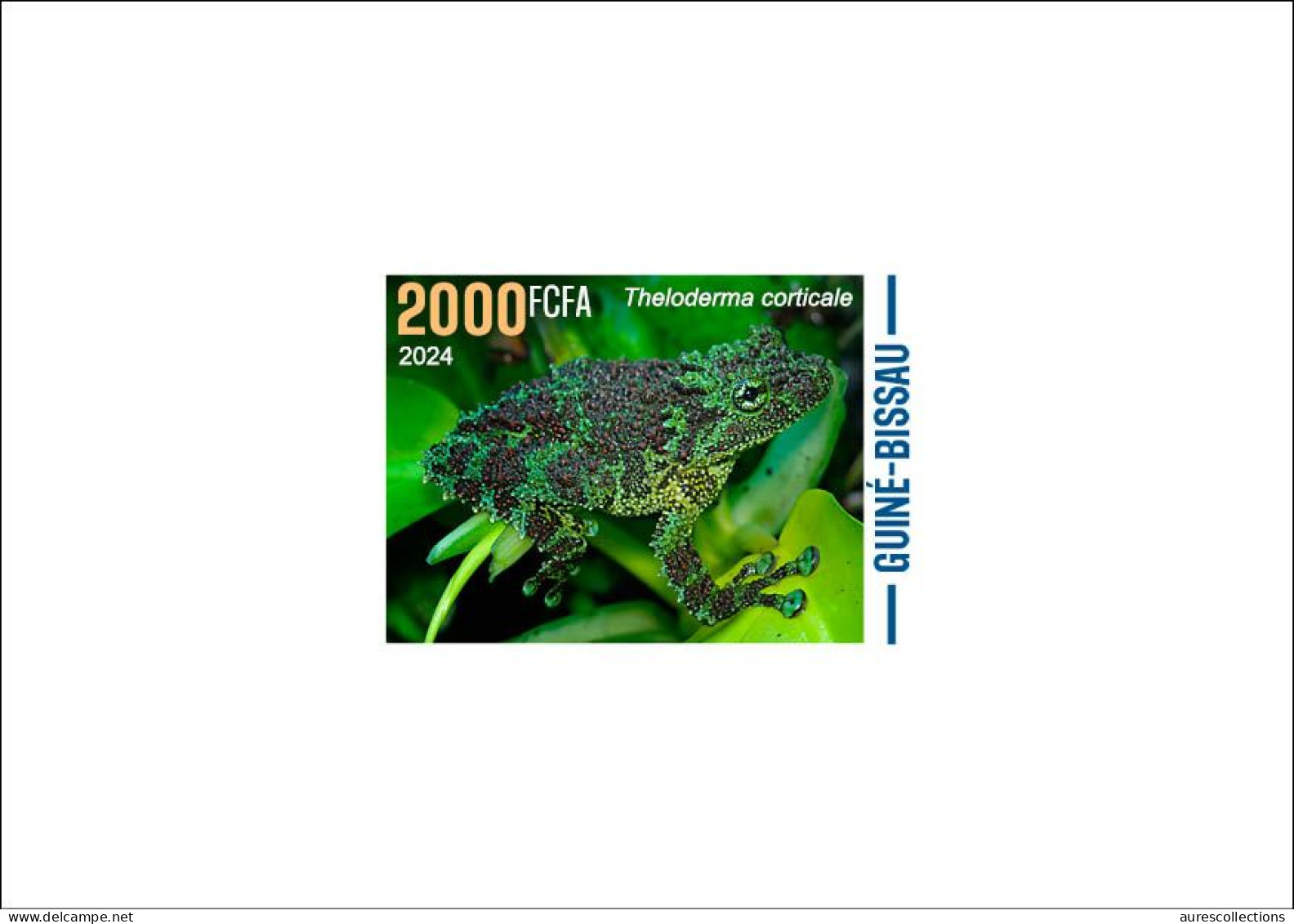 GUINEA BISSAU 2024 DELUXE PROOF - CAMOUFLAGE - FROG FROGS GRENOUILLE GRENOUILLES - Frogs