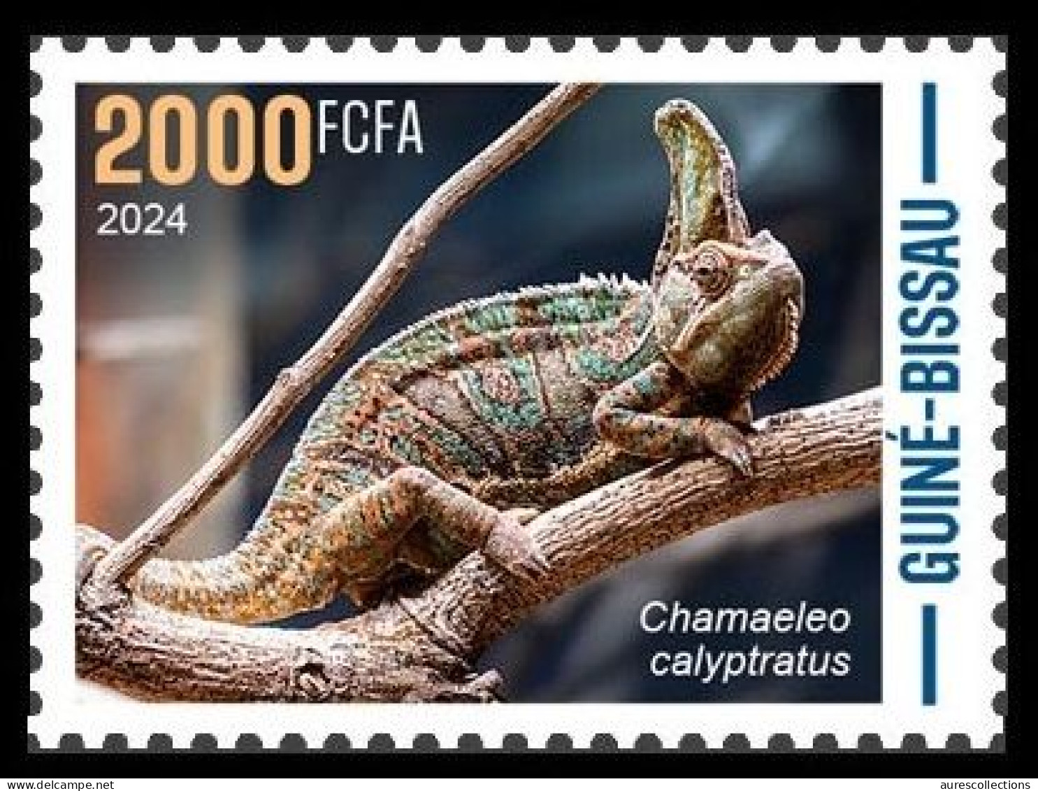 GUINEA BISSAU 2024 STAMP 1V - CAMOUFLAGE - REPTILES CHAMELEON CHAMELEONS CAMELEON CAMELEONS - MNH - Otros & Sin Clasificación