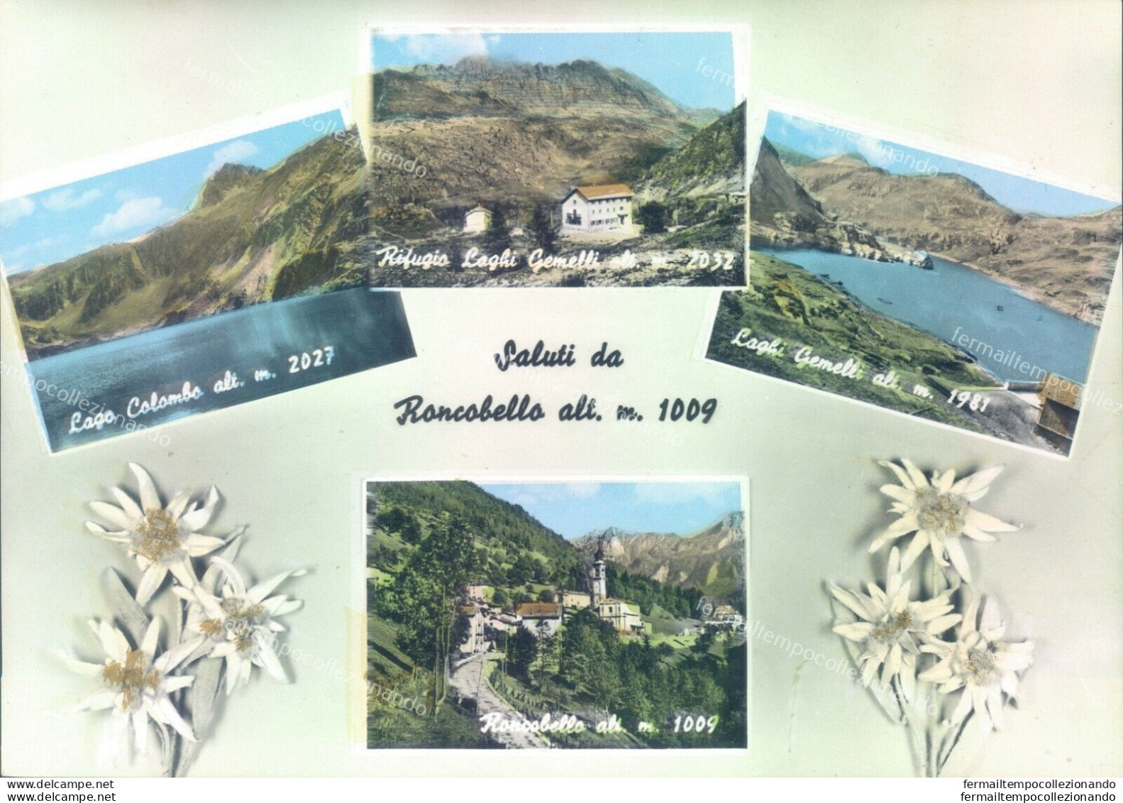 Q129 Cartolina Saluti Da Roncobello Bergamo Provincia Di Bergamo - Bergamo