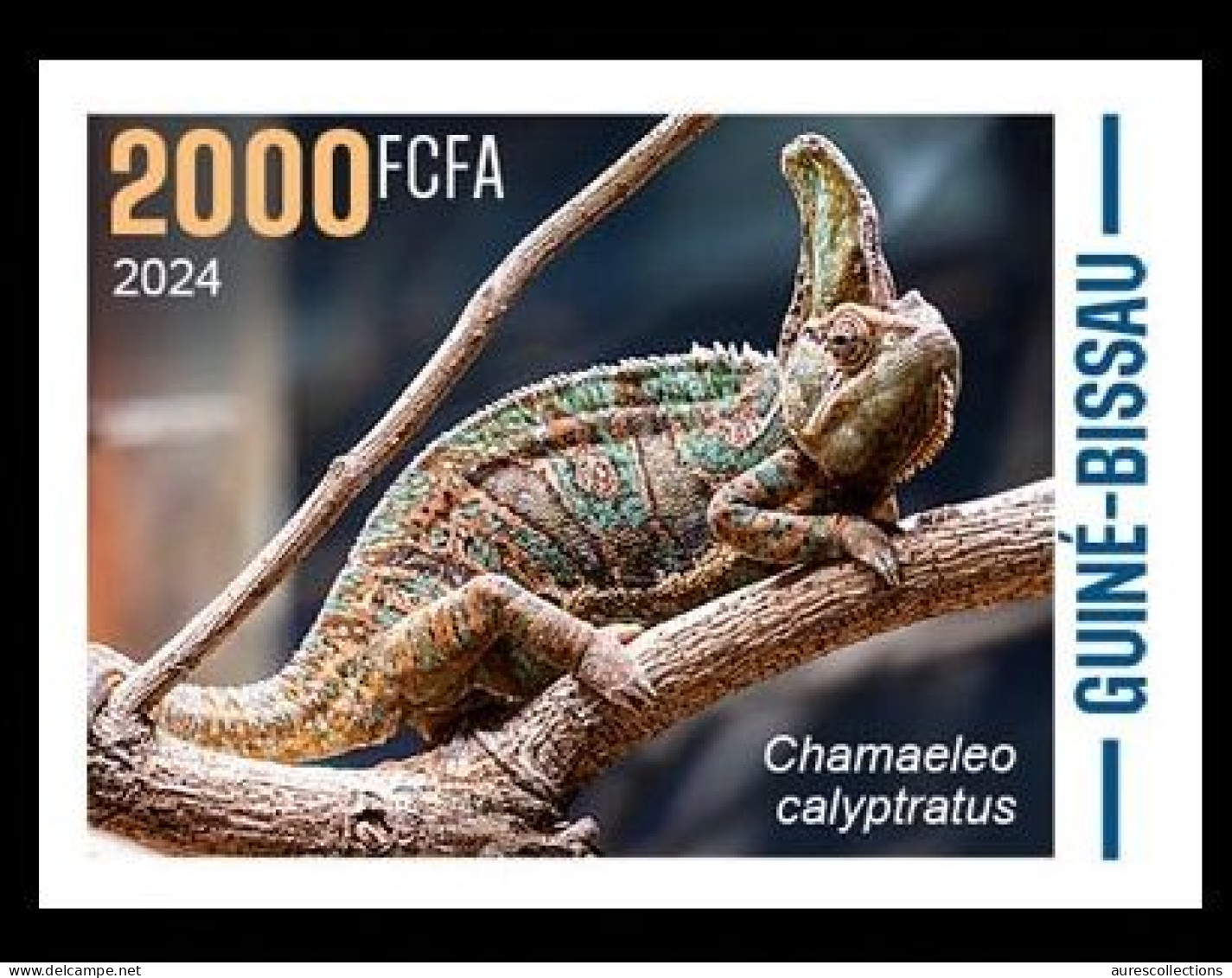 GUINEA BISSAU 2024 IMPERF STAMP 1V - CAMOUFLAGE - REPTILES CHAMELEON CHAMELEONS CAMELEON CAMELEONS - MNH - Autres & Non Classés