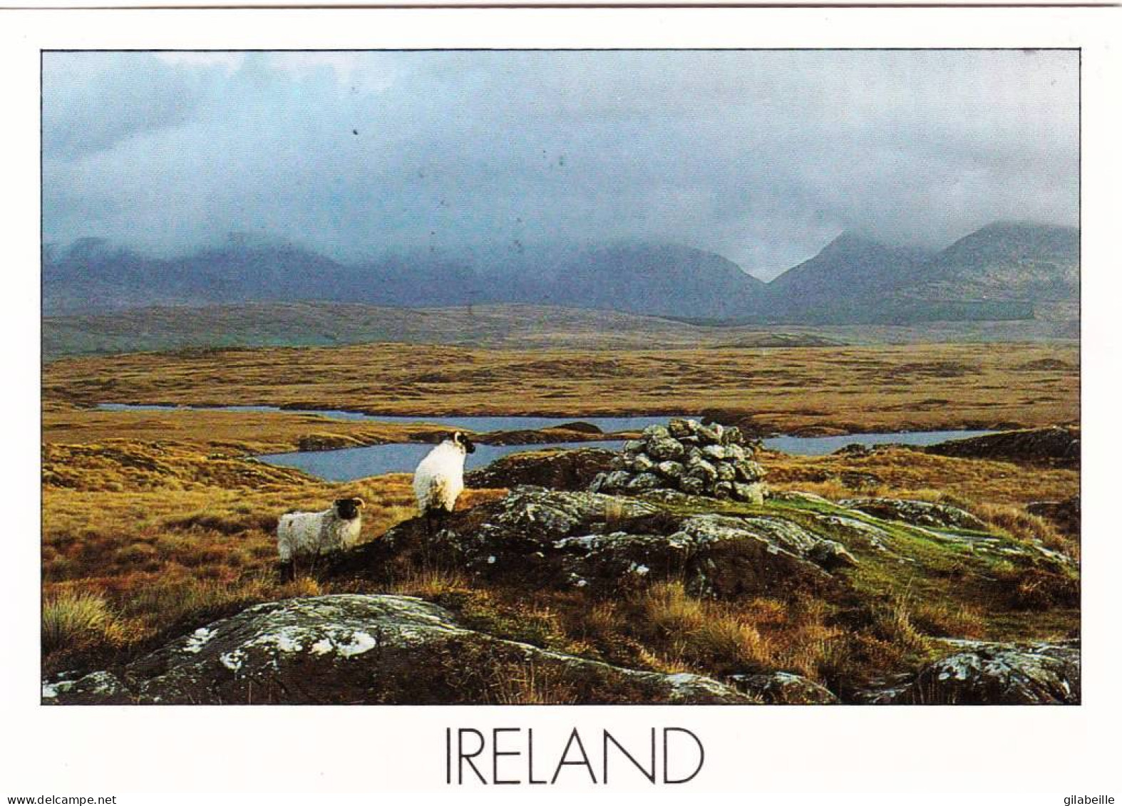 Eire - Ireland - The Rugged Landscapeon The West Coast Of Ireland - Sonstige & Ohne Zuordnung