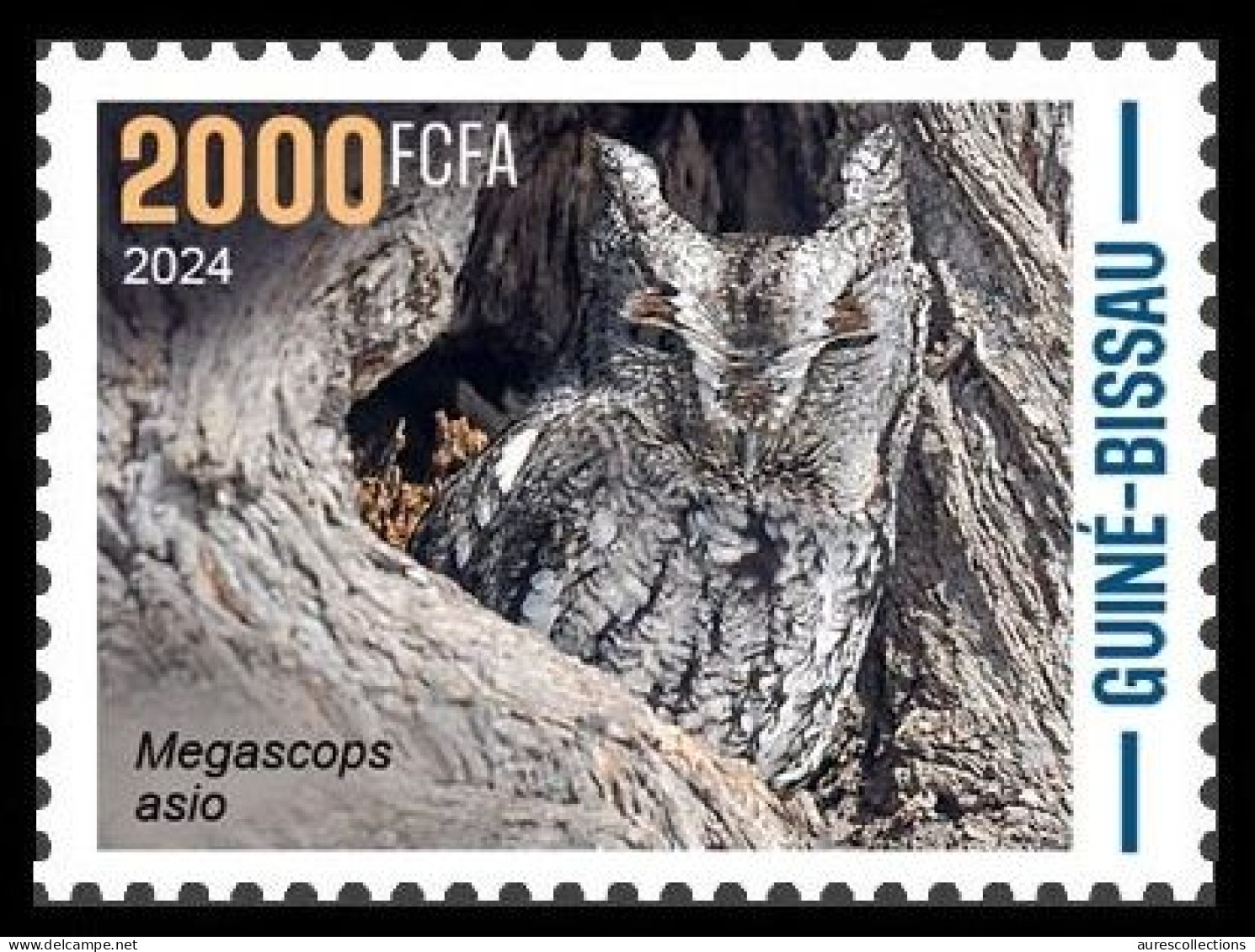 GUINEA BISSAU 2024 STAMP 1V - CAMOUFLAGE - OWLS OWL HIBOUX HIBOU BIRDS OISEAUX - MNH - Eulenvögel