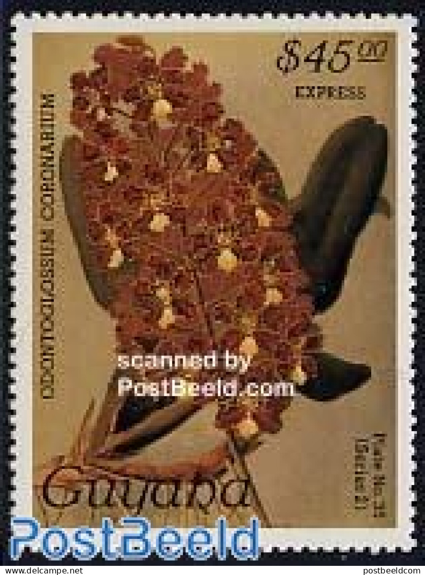 Guyana 1987 Orchid 1v, Express Mail, Mint NH, Nature - Flowers & Plants - Orchids - Guyane (1966-...)
