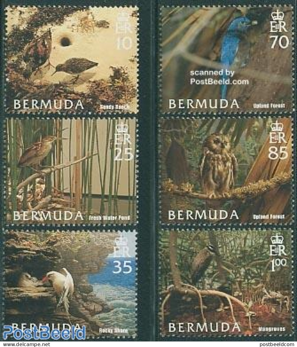 Bermuda 2005 Habitats 6v, Mint NH, Nature - Birds - Owls - Bermudas