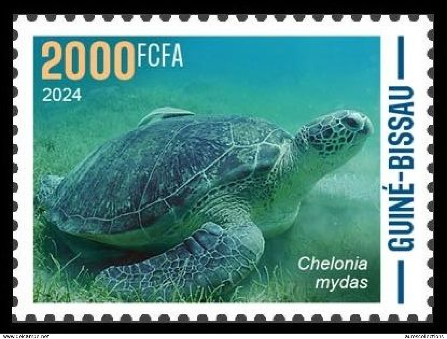 GUINEA BISSAU 2024 STAMP 1V - CAMOUFLAGE - REPTILES GREEN TURTLE TURTLES TORTUES TORTUE VERTE - MNH - Tortues