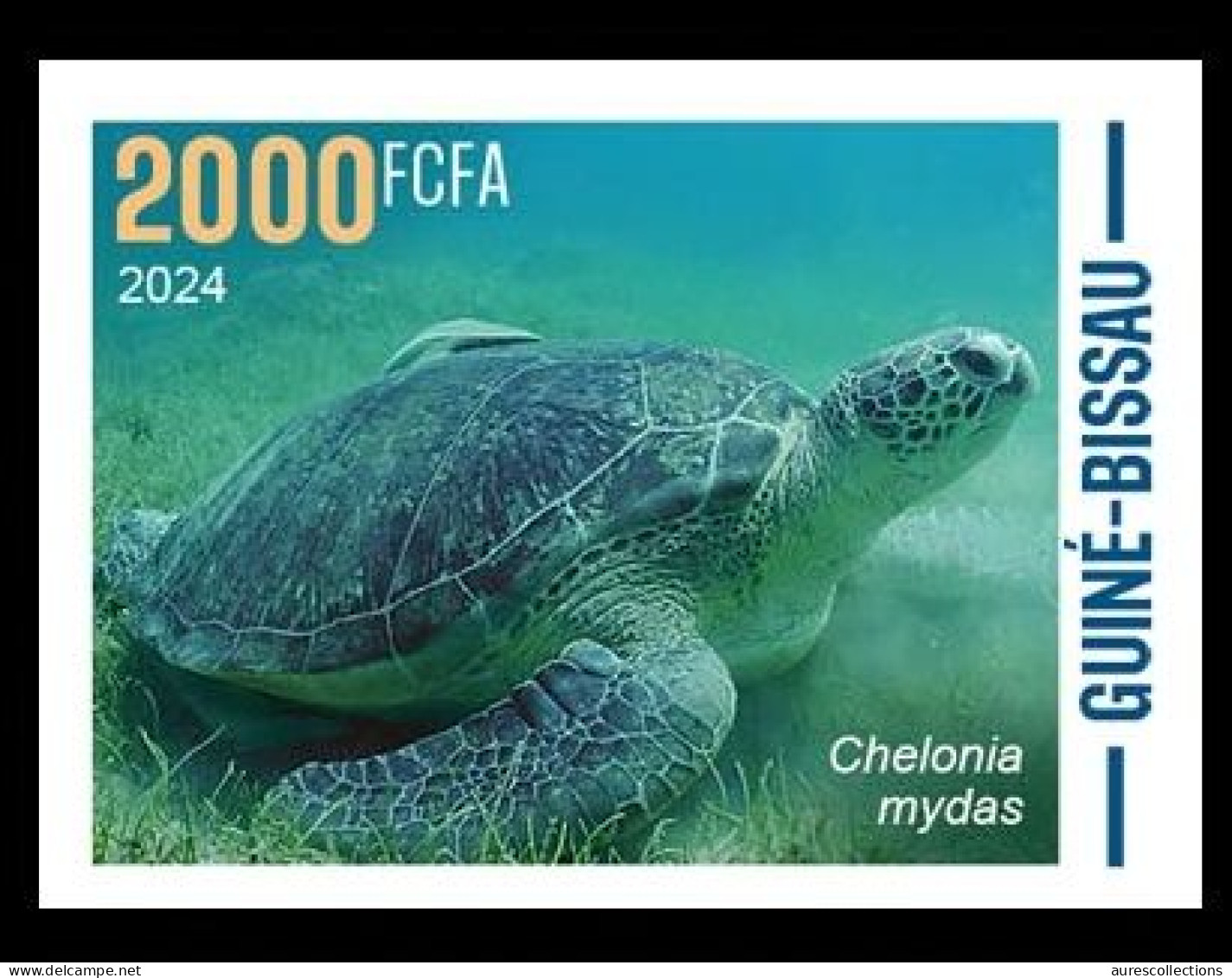 GUINEA BISSAU 2024 IMPERF STAMP 1V - CAMOUFLAGE - REPTILES GREEN TURTLE TURTLES TORTUES TORTUE VERTE - MNH - Tortues