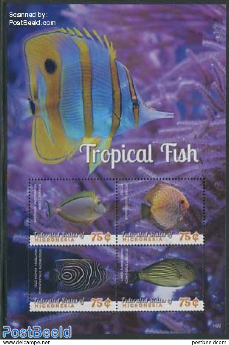 Micronesia 2014 Tropical Fish 4v M/s, Mint NH, Nature - Fish - Vissen