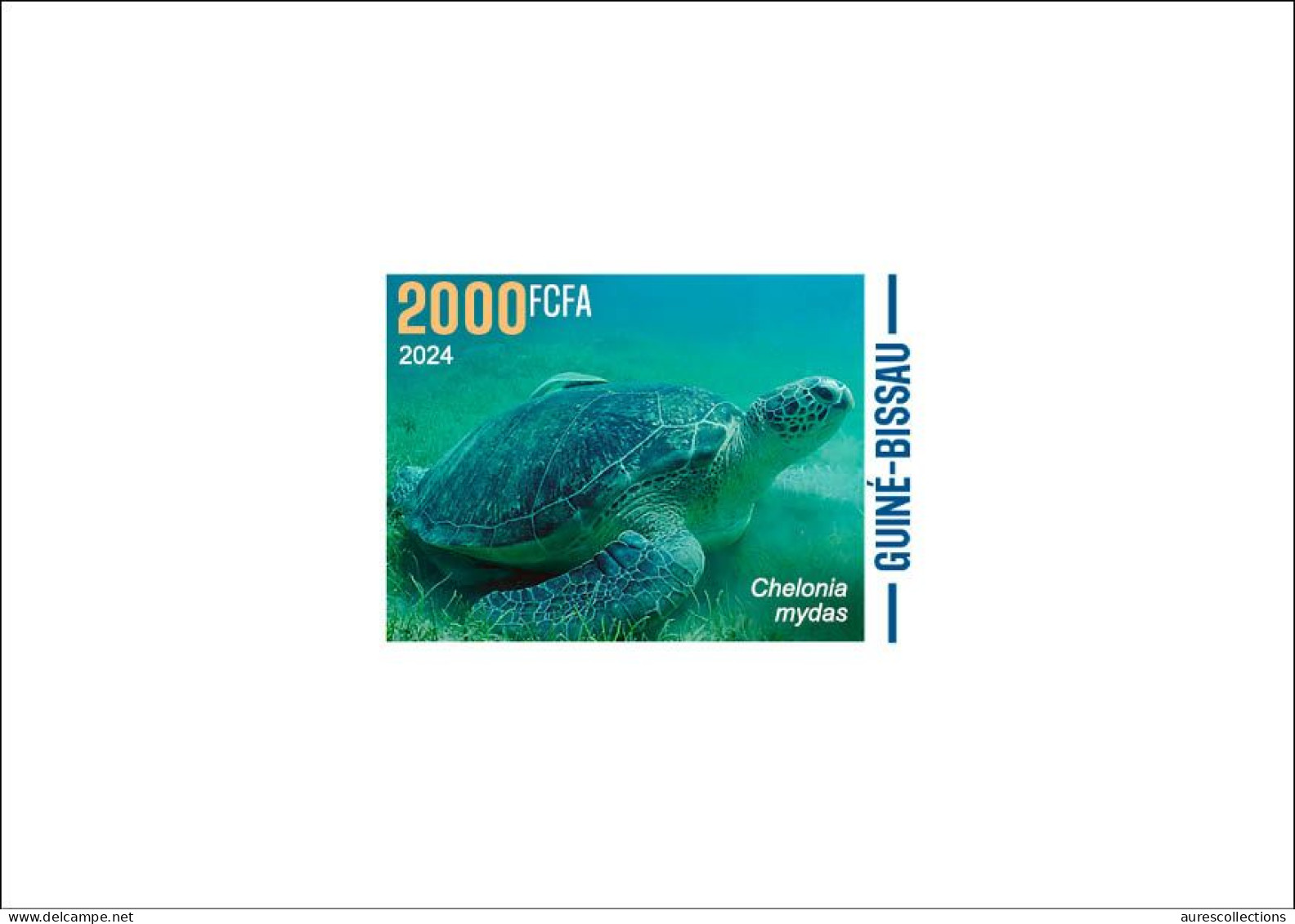 GUINEA BISSAU 2024 DELUXE PROOF - CAMOUFLAGE - REPTILES GREEN TURTLE TURTLES TORTUES TORTUE VERTE - Tortues