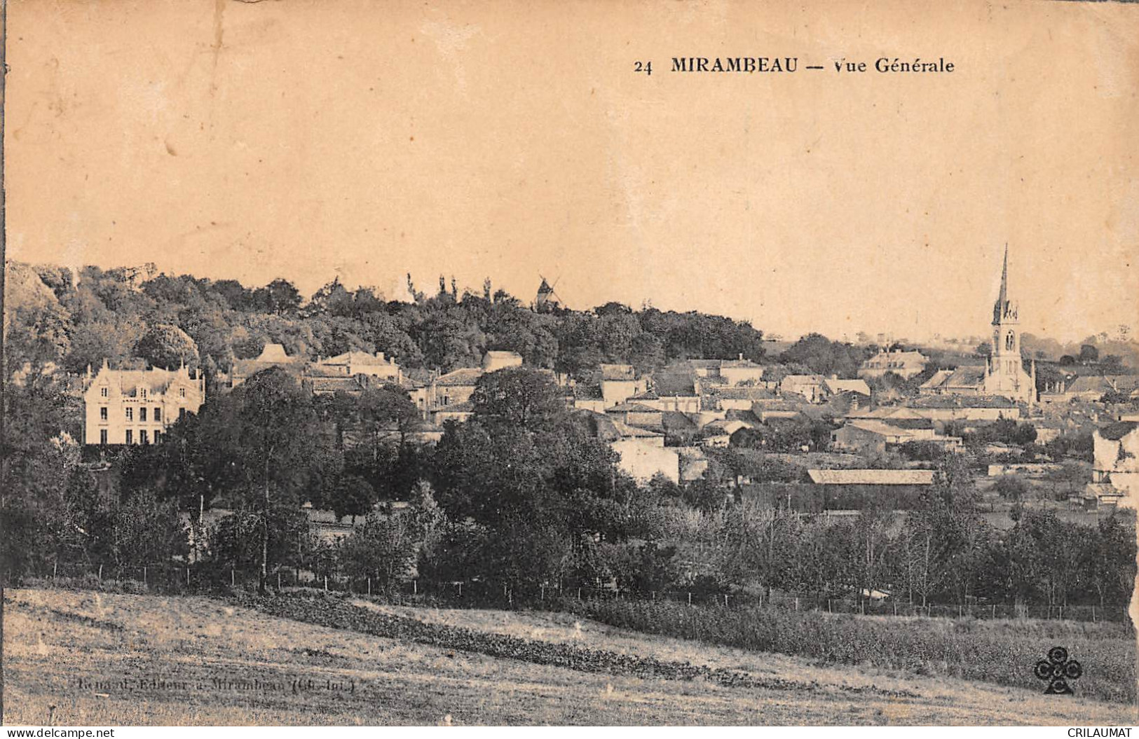 17-MIRAMBEAU-vue Generale-N 6002-E/0197 - Mirambeau