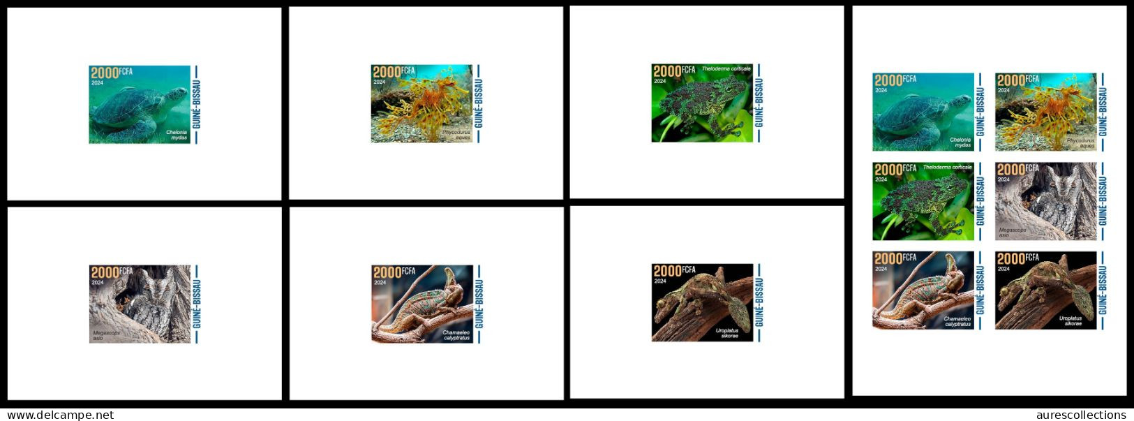 GUINEA BISSAU 2024 PACK OF 7 DELUXE PROOF - CAMOUFLAGE - FROG FROGS TURTLES TURTLE OWL OWLS GECKO CHAMELEON SEAHORSE - Schildkröten