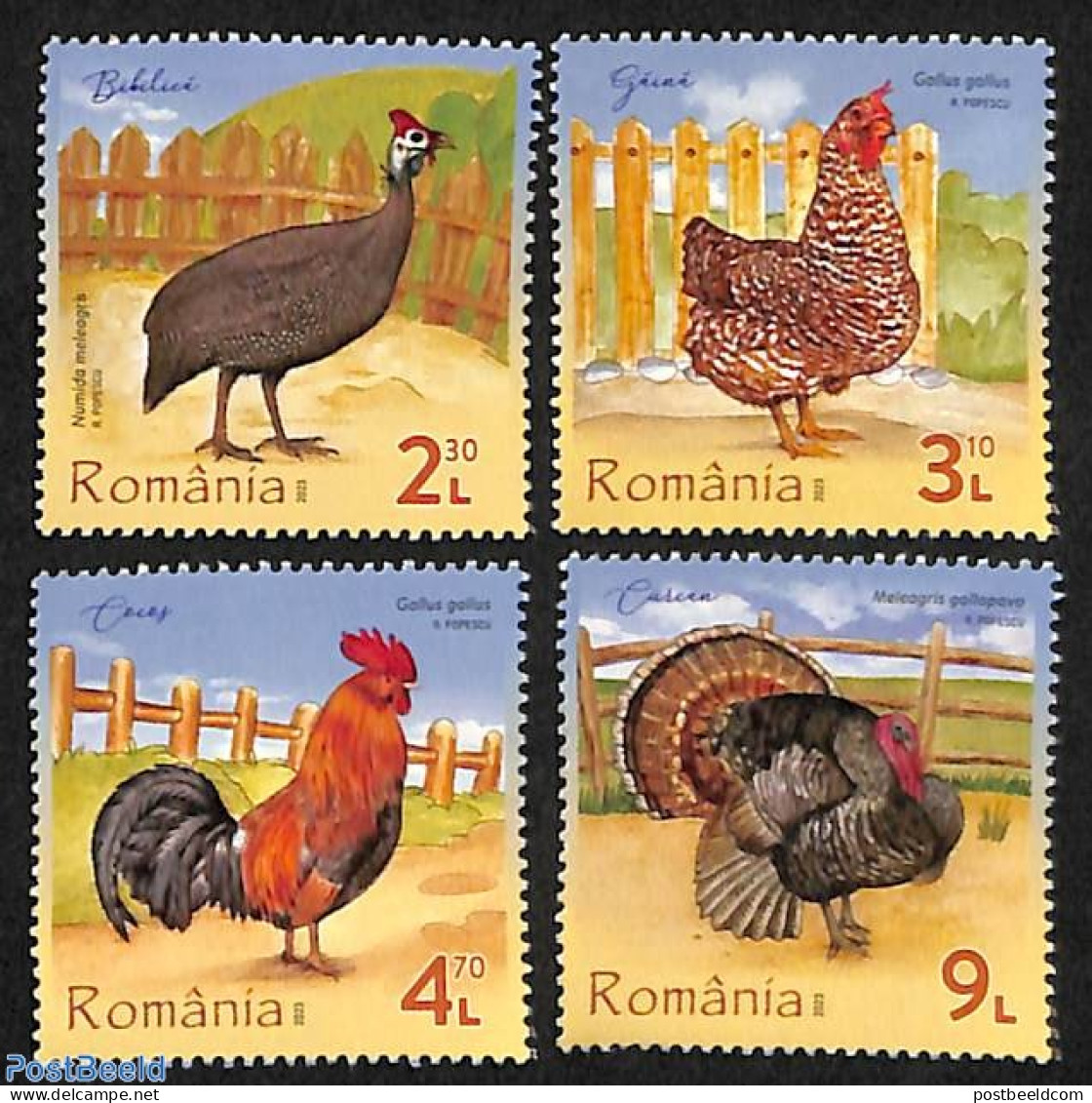 Romania 2023 Poultry 4v, Mint NH, Nature - Birds - Poultry - Neufs
