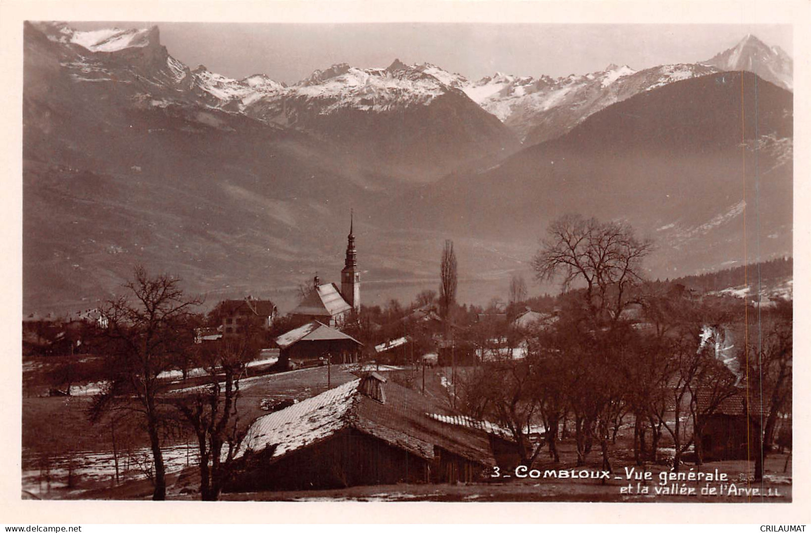 74-COMBLOUX-Vue Generale-N 6004-A/0067 - Combloux