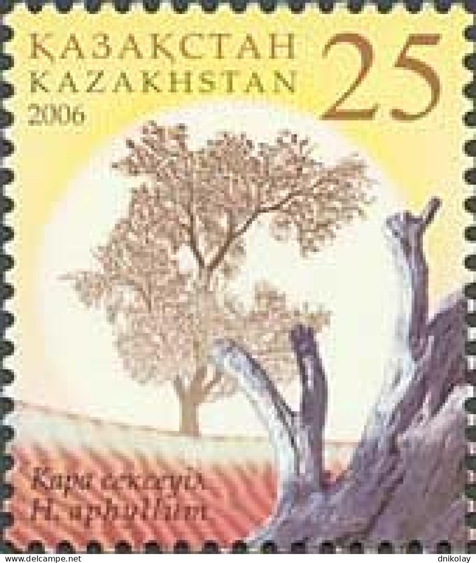 2006 538 Kazakhstan Flora - Saxaul MNH - Kazachstan