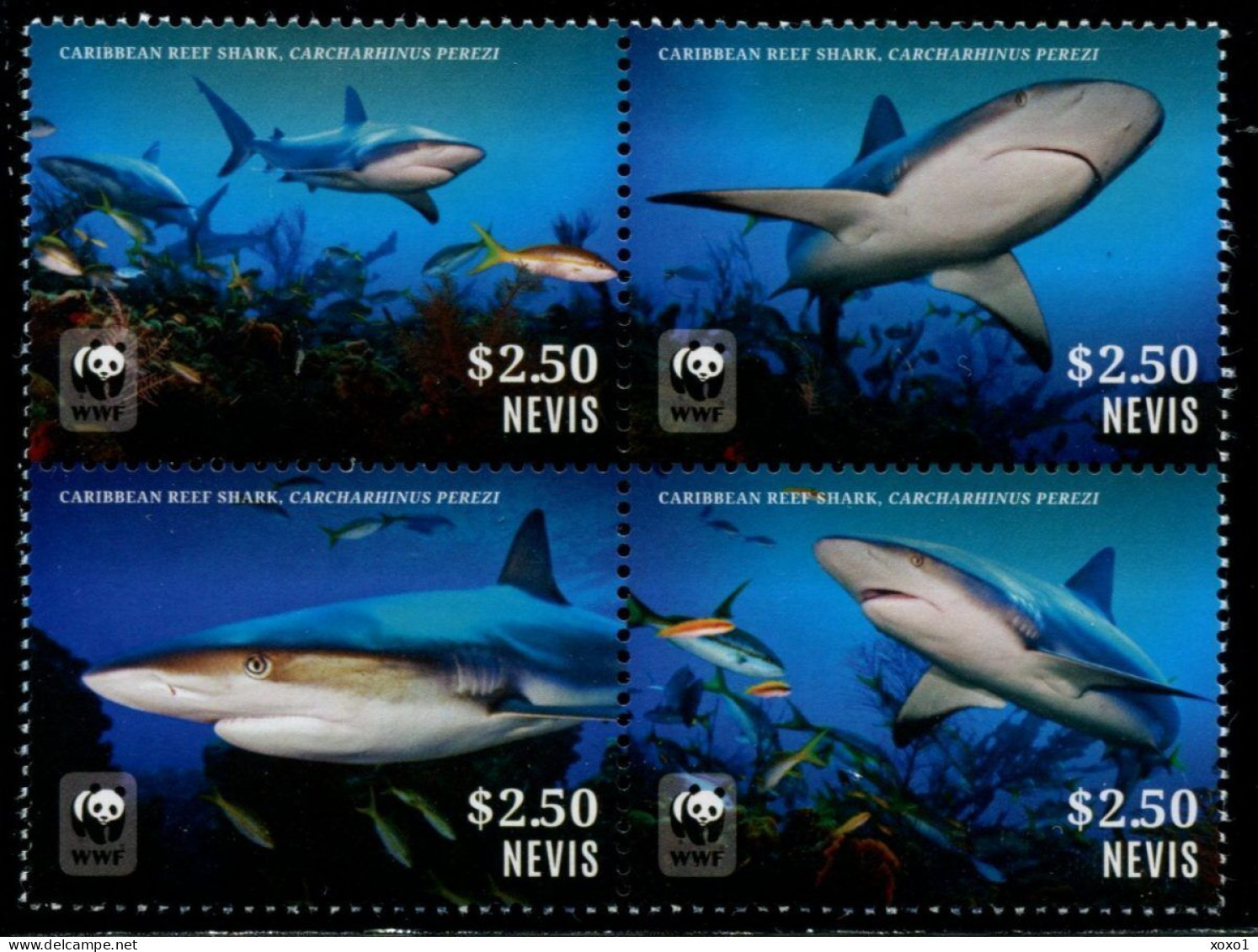 Nevis 2014 MiNr. 2888 - 2895  Fishes Caribbean Reef Shark MARINE LIFE WWF 4v  MNH** 9,00 € - St.Kitts Und Nevis ( 1983-...)