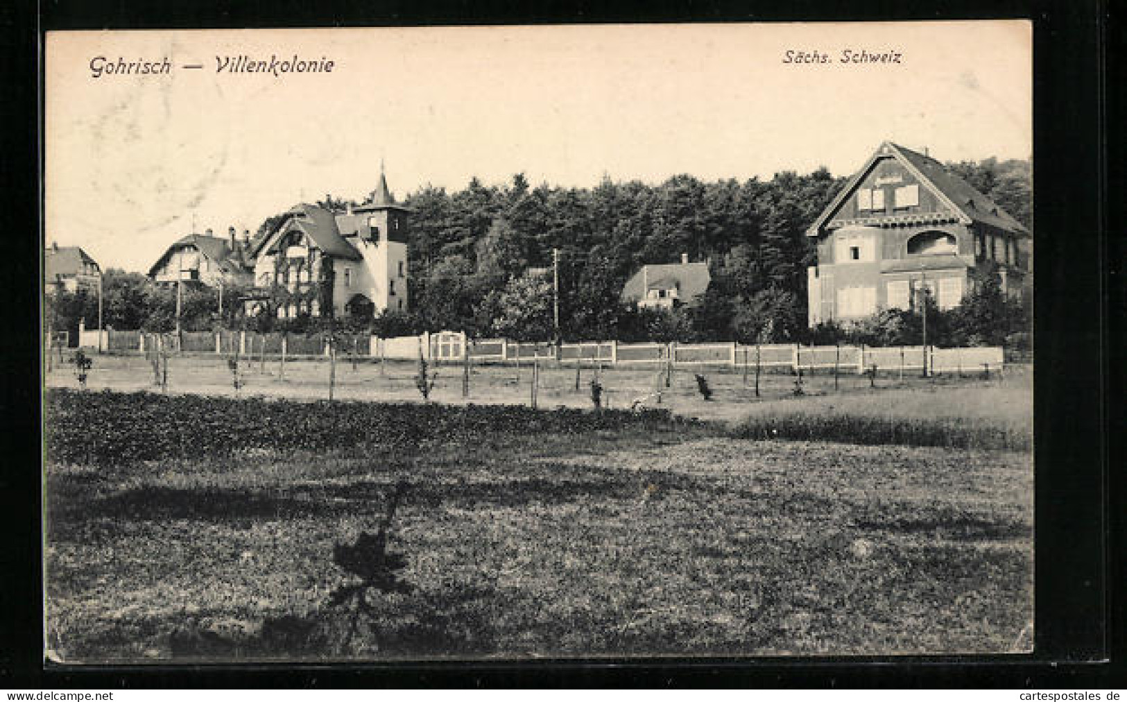 AK Gohrisch /Sächs. Schweiz, Blick Auf Villenkolonie  - Gohrisch