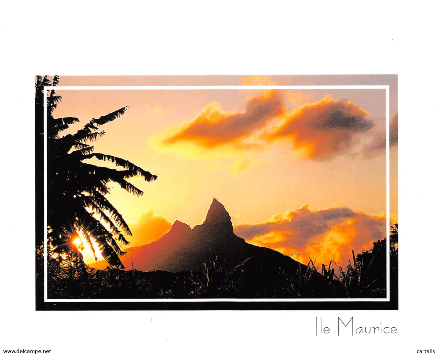 MAU-MAURICE-N°3735-B/0015 - Mauritius