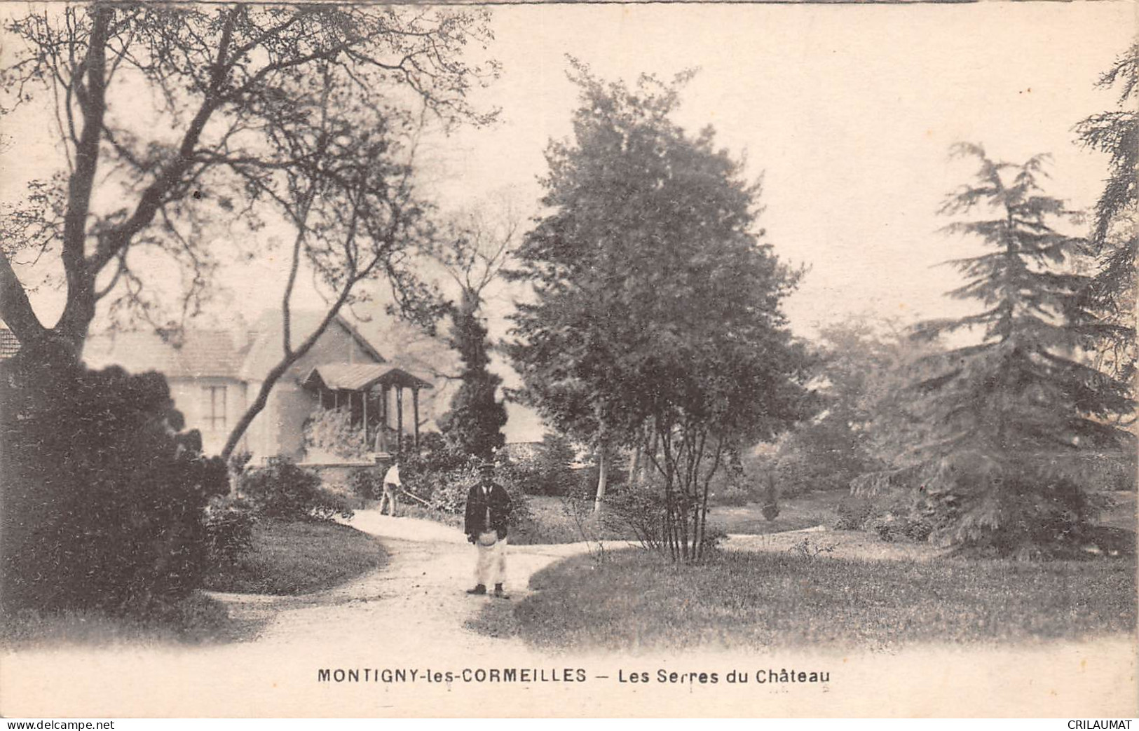 95-MONTIGNY-LES-CORMEILLES-Les Serres Du Chateau-N 6004-E/0303 - Montigny Les Cormeilles