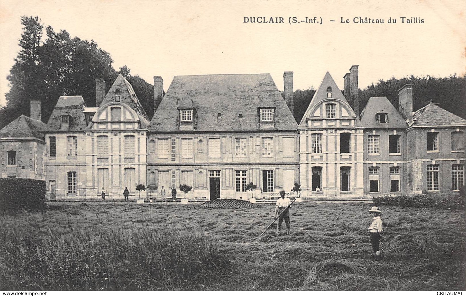 76-DUCLAIR-Château Du Taillis-N 6005-H/0143 - Duclair