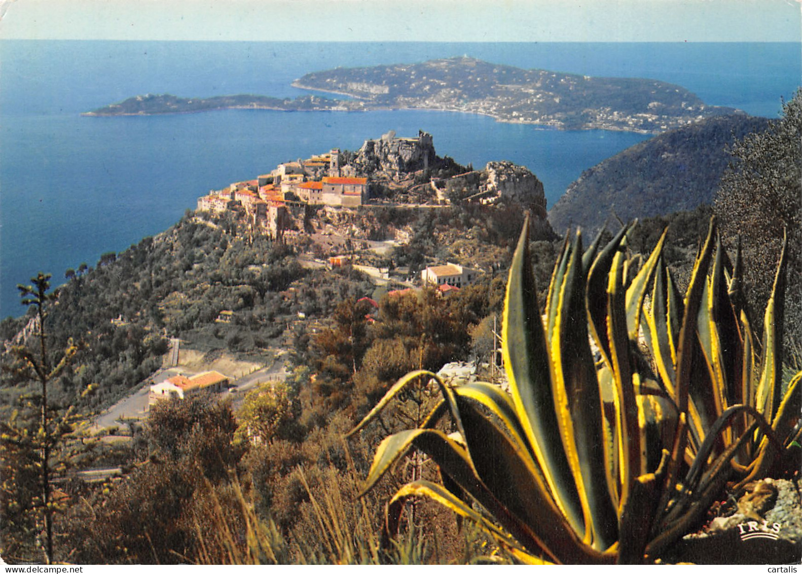 06-EZE-N°3737-C/0375 - Eze