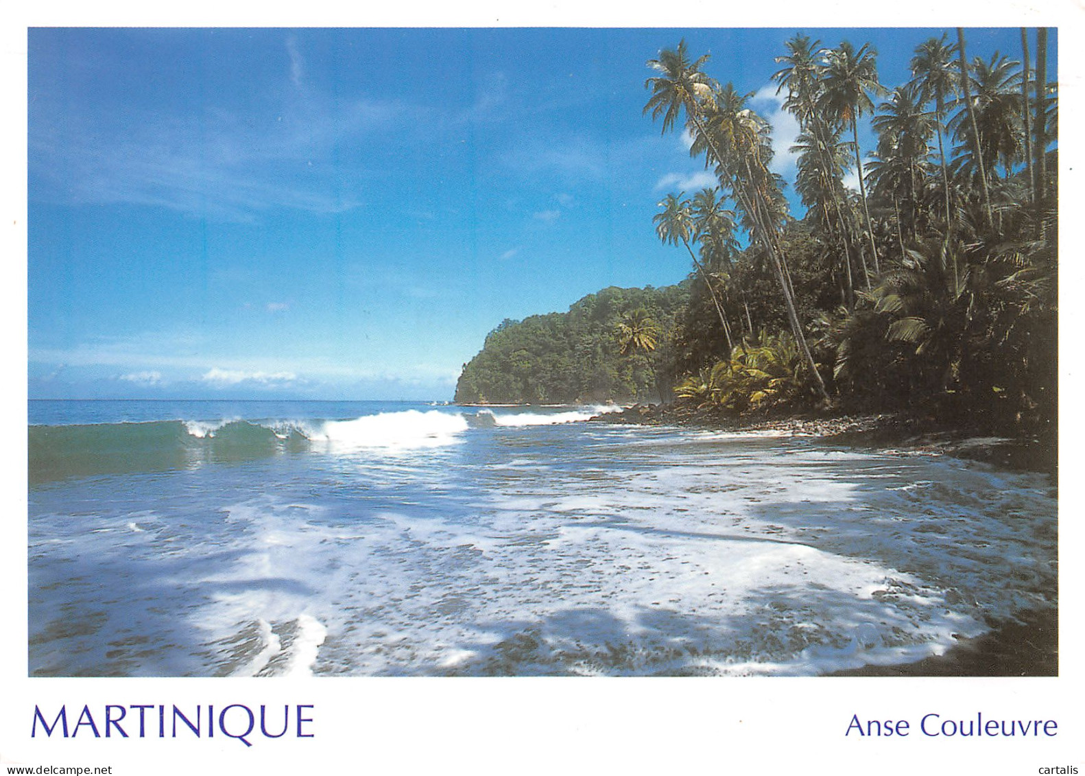 972-MARTINIQUE ANSE COULEUVRE-N°3738-B/0143 - Autres & Non Classés