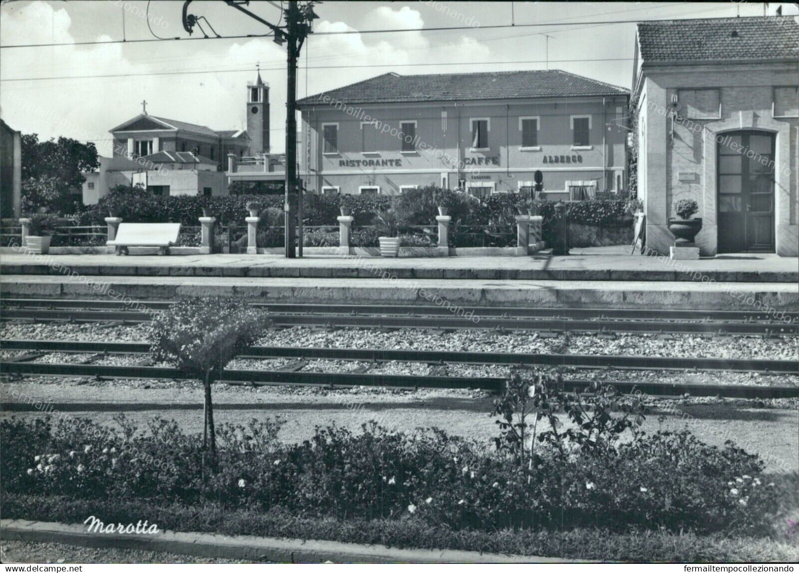 Cp534 Cartolina Marotta Stazione Provincia Di Pesaro Marche - Pesaro