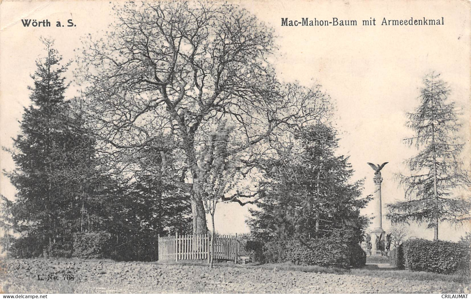 67-WOERTH-Mac Mahon Baum-N 6006-C/0339 - Wörth