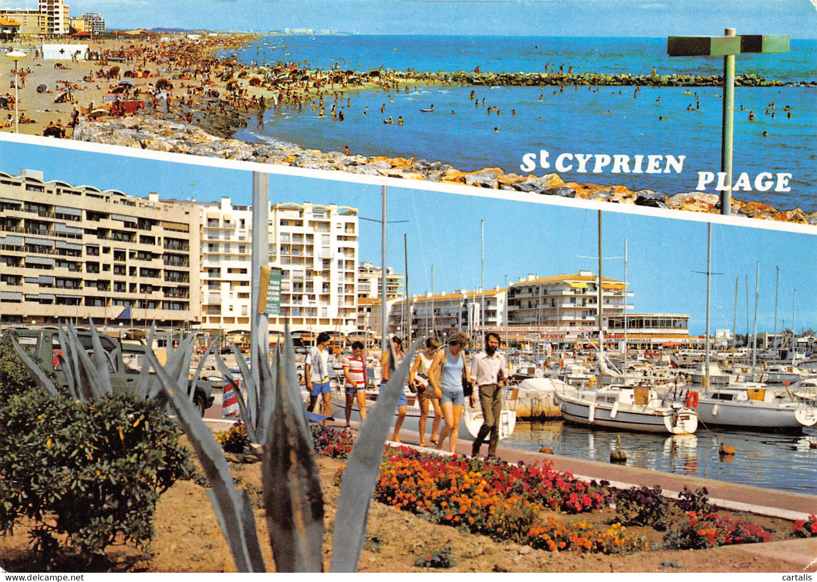 66-SAINT CYPRIEN PLAGE-N°3739-A/0007 - Saint Cyprien