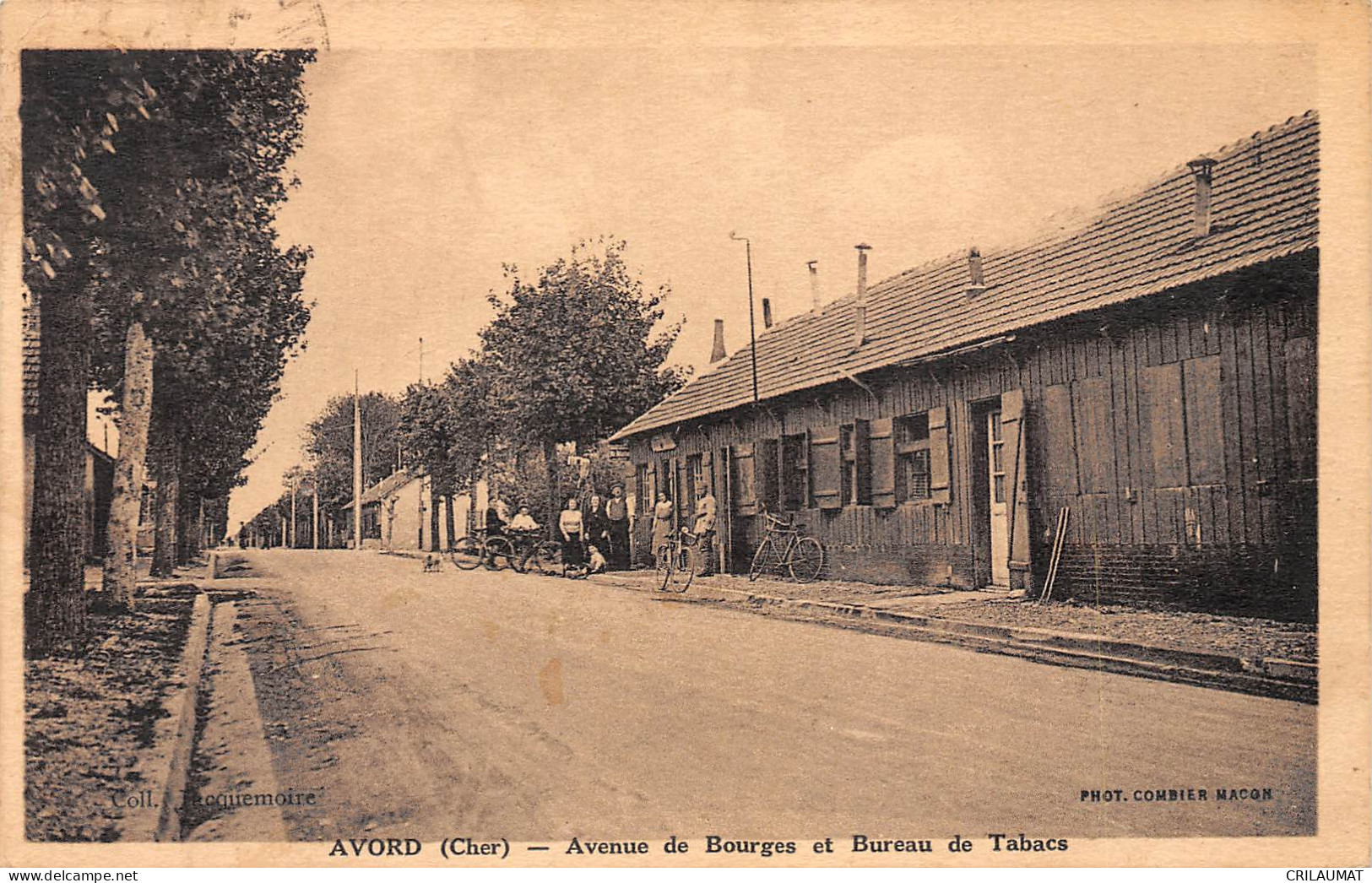 18-AVORD-Avenue De Bourges-N 6006-H/0131 - Avord