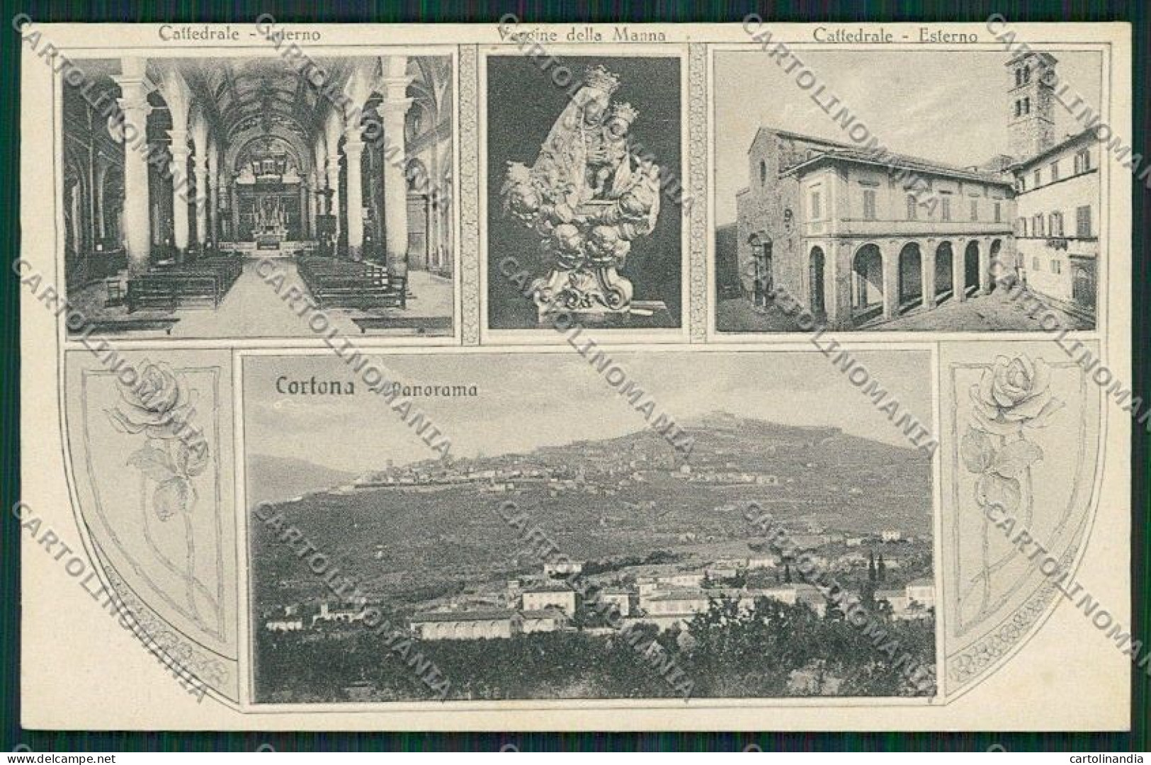 Arezzo Cortona Cartolina QQ3377 - Arezzo