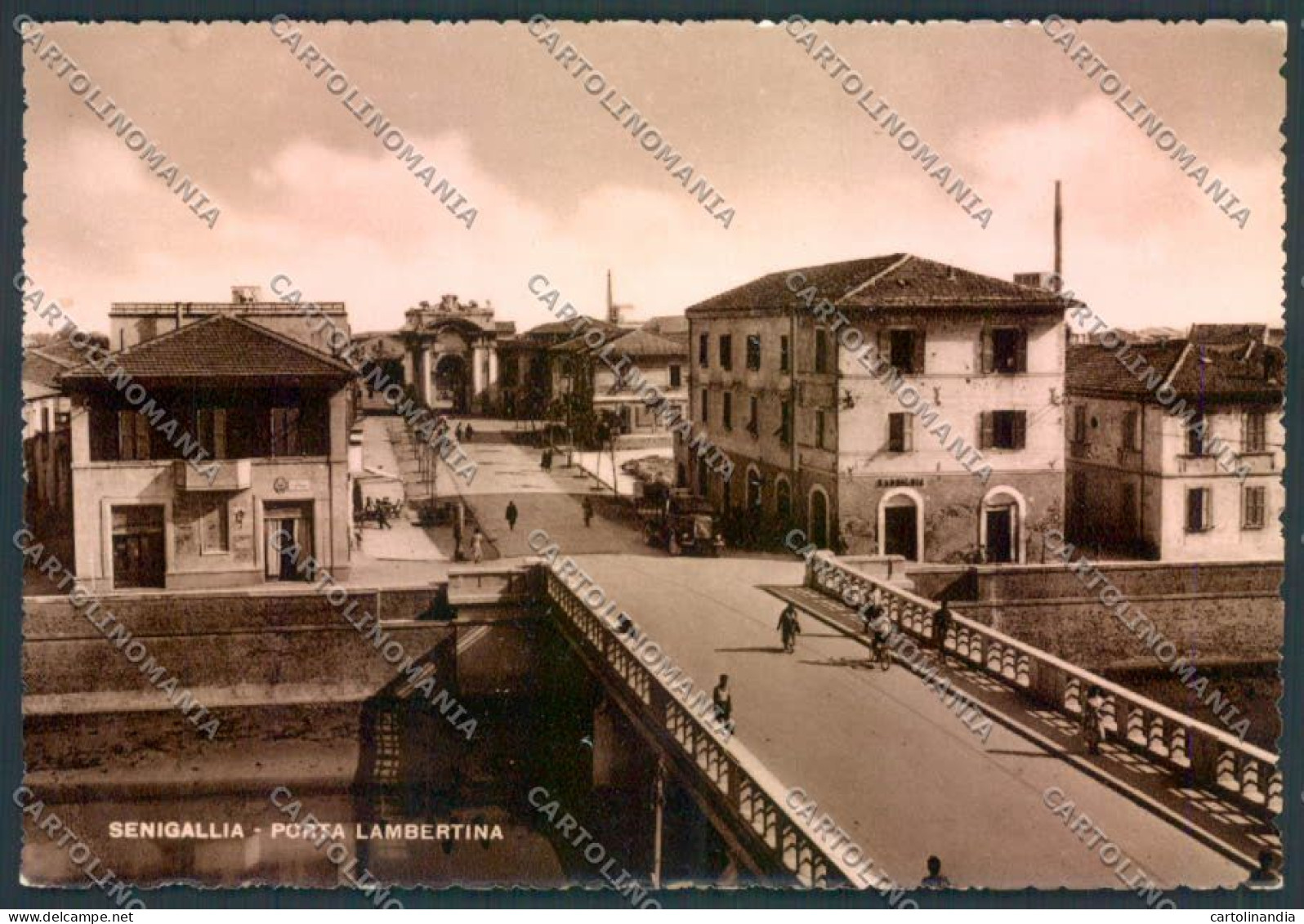 Ancona Senigallia Foto FG Cartolina ZF8209 - Ancona