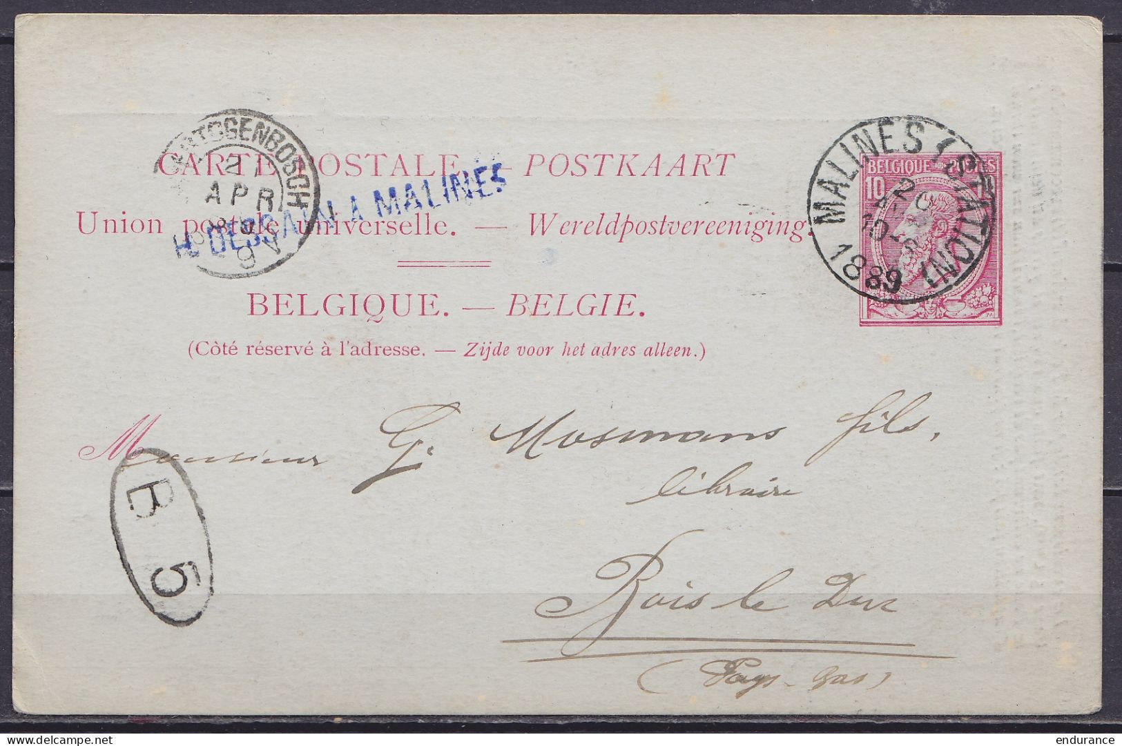 Carte Postale 10c Rose (N°46) Repiquée "H.Dessain à Malies" Càd MALINES (STATION) /20 AVR 1889 Pour BOIS-LE-DUC Pays-Bas - Briefkaarten 1871-1909