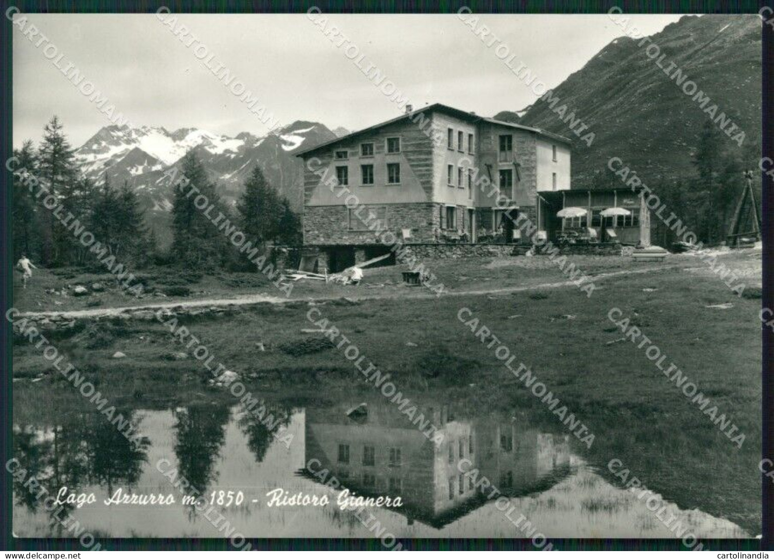 Sondrio Madesimo Lago Azzurro Foto FG Cartolina ZK4011 - Sondrio