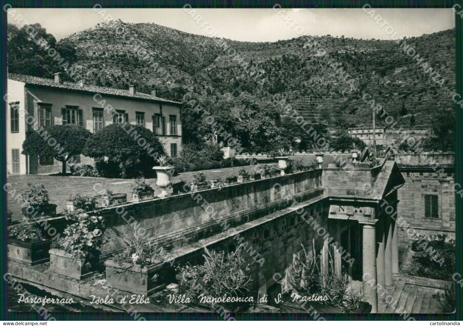 Livorno Isola D'Elba Portoferraio Foto FG Cartolina ZKM8331 - Livorno