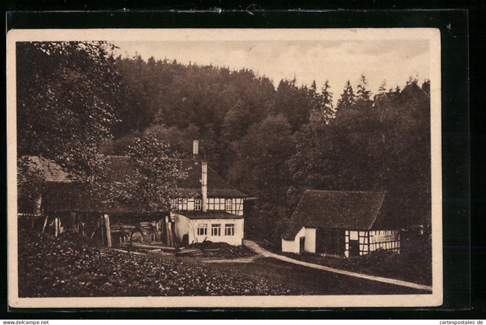 AK Eisenberg I. Thür., Gasthaus Froschmühle Im Mühltal  - Eisenberg