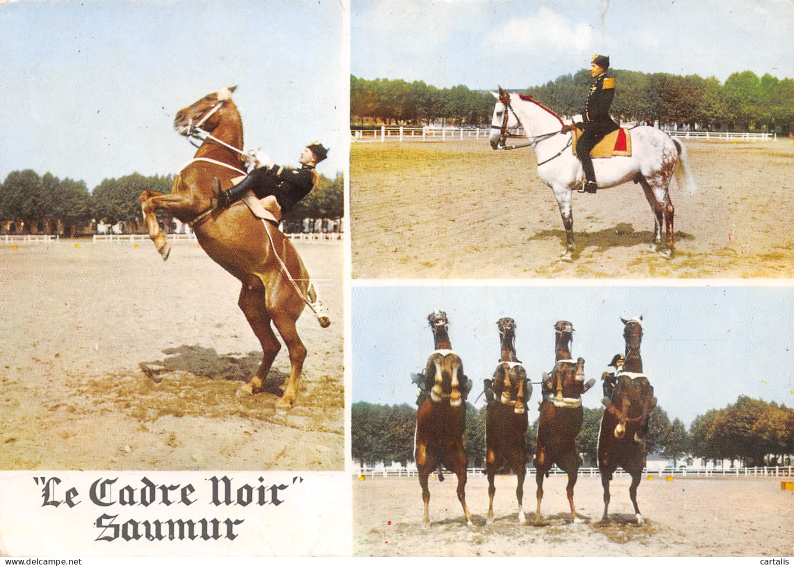49-SAUMUR-N°3741-C/0399 - Saumur