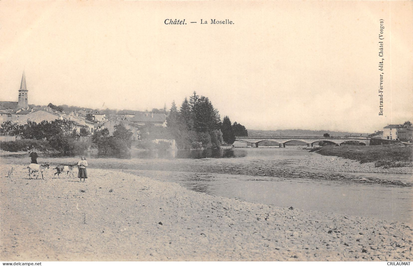 88-CHATEL SUR MOSELLE-N 6008-C/0147 - Chatel Sur Moselle