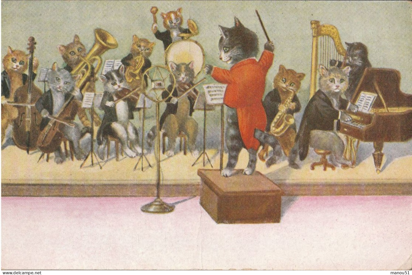 CHATS Habillés - L'orchestre - Animales Vestidos
