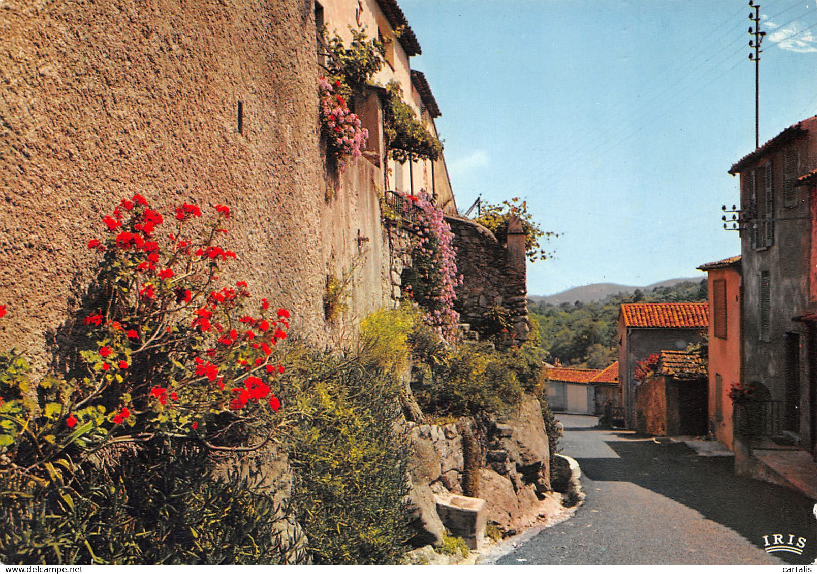 83-RAMATUELLE-N°3744-C/0101 - Ramatuelle