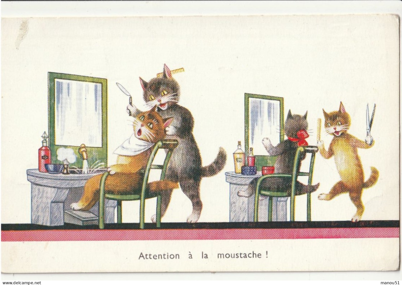 CHATS Habillés - Attention à La Moustache - Dressed Animals